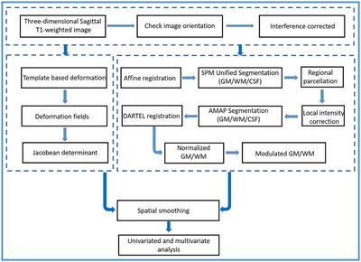 Voxel- and tensor-based morphometry with machine learning techniques identifying characteristic brain impairment in patients with cervical spondylotic myelopathy